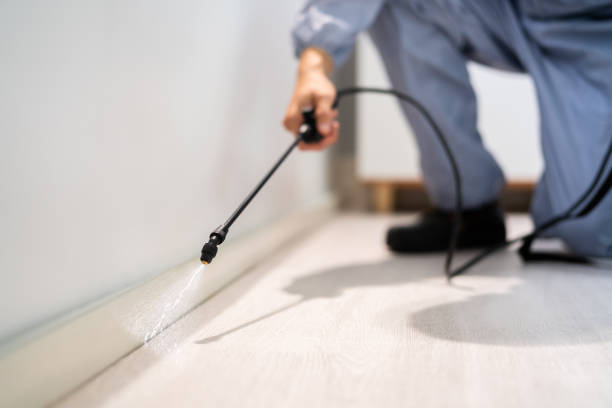 Licensed Fumigation Services service in Owen County County, KY - Nex Pest Control